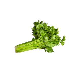 CELERY