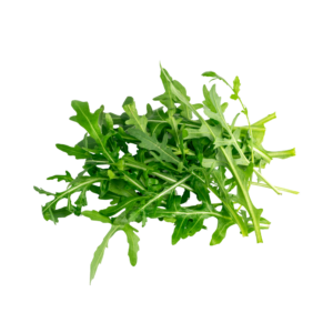 ARUGULA