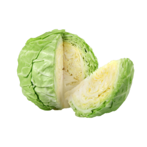 CABBAGE
