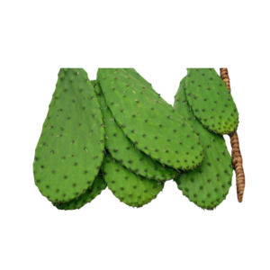 CACTUS PAD (NOPAL)